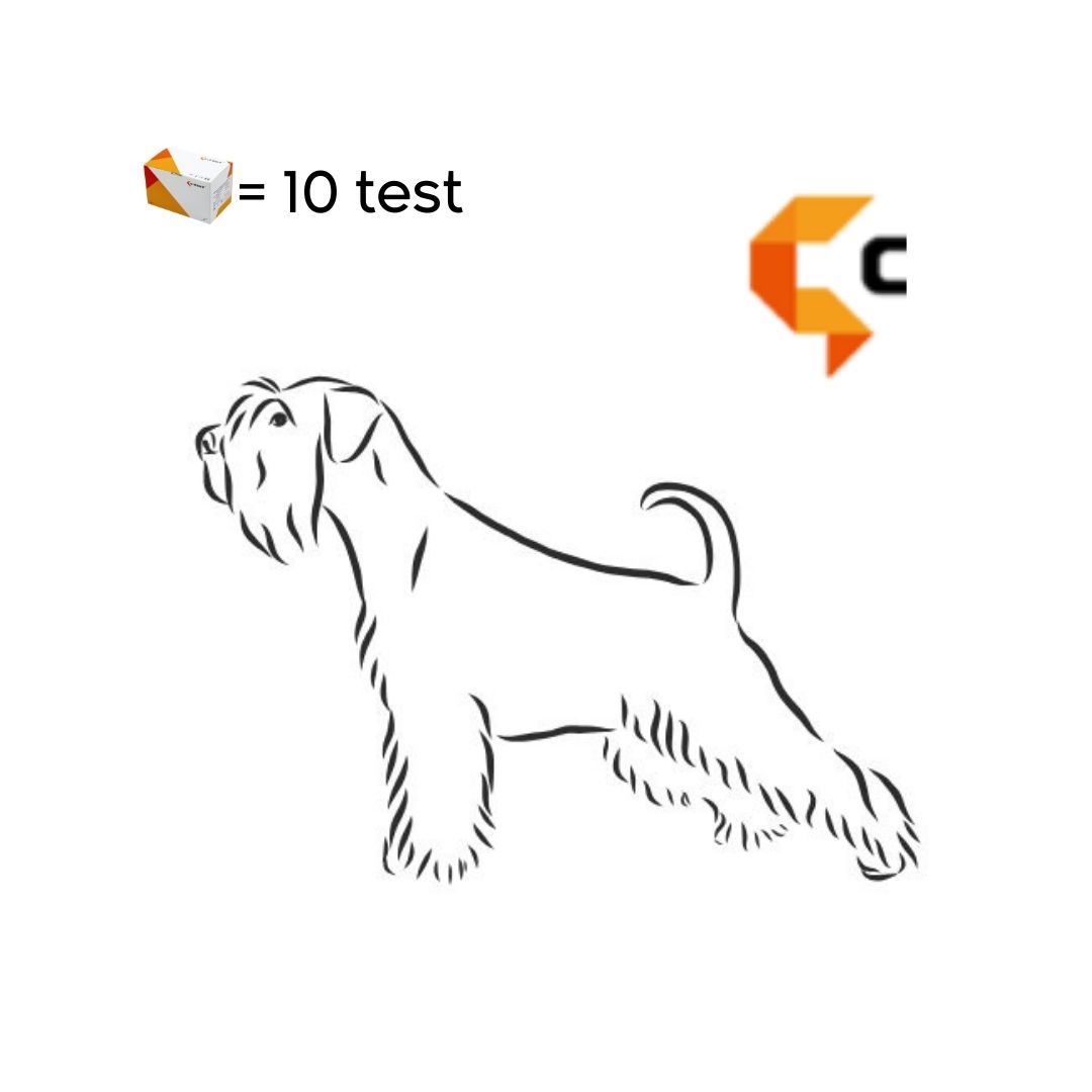 BRUCELLA (CBru-LPS Ab)